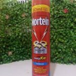 MORTEIN INSTA KILL ODOURLESS 350ML